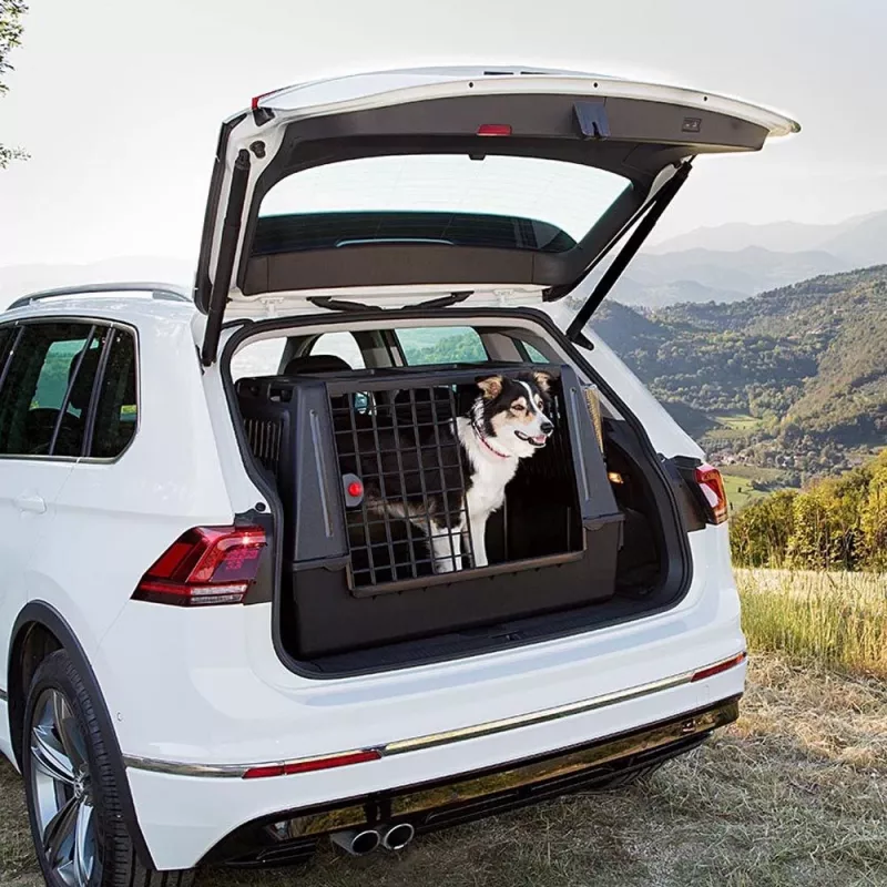 FERPLAST Atlas Car 100 Scenic, prepravná klietka pre zvieratá do auta
