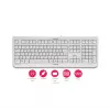 CHERRY KC 1000 Klávesnica Home USB švajčiarske rozloženie sivá