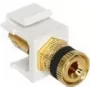 Keystone modul DeLOCK 86303