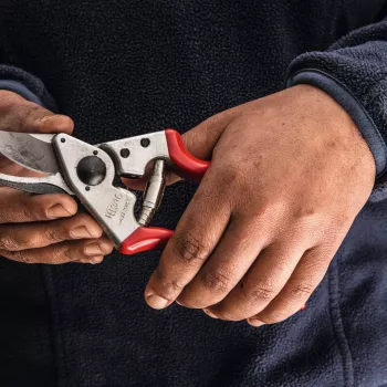 Felco | záhradnícke nožnice pre ľavákov | FELCO 16