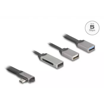 DeLOCK 64303 USB 3.2 Gen 1 Type-C hub 5000 Mbit/s sivý