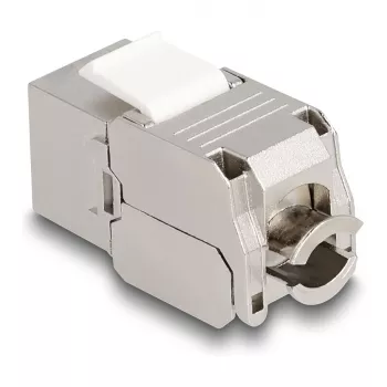 DeLOCK Keystone modul RJ45 konektor samica na LSA Kat.6A s LED strieborno-biela