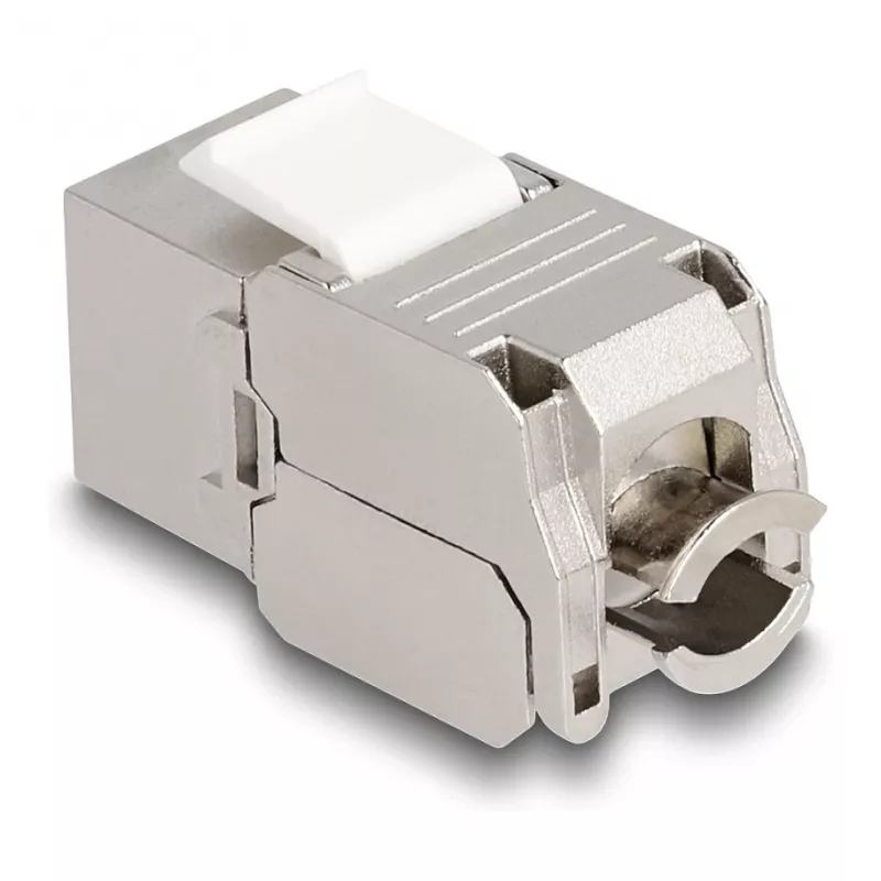 DeLOCK Keystone modul RJ45 konektor samica na LSA Kat.6A s LED strieborno-biela