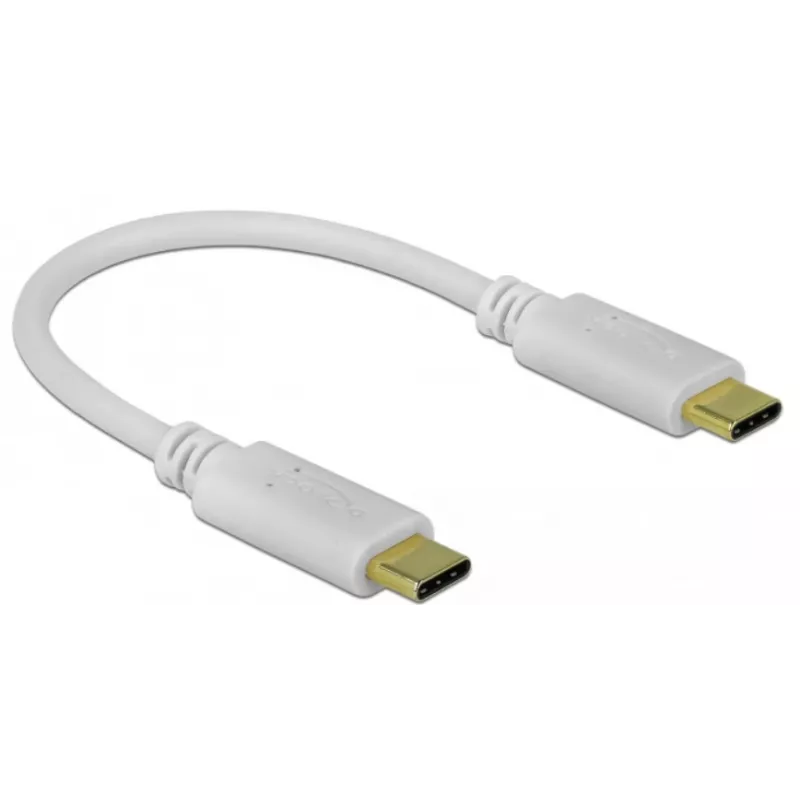 Delock - USB-C/napájací kábel - 24-pinový USB-C konektor samec na 24-pinový USB-C konektor samec - 5 A - 15 cm - USB napájanie (100 W), podporuje Power Delivery 2.0 - biely (85357)