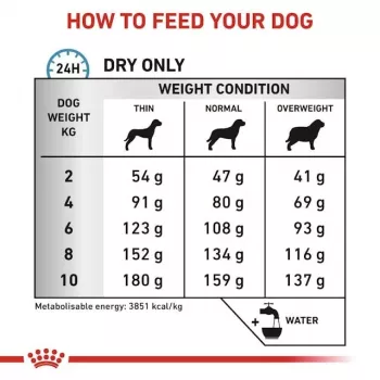 Suché krmivo pre psy Royal Canin Anallergenic Small – hypoalergénna receptúra pre malé dospelé psy, 3 kg, mäsová príchuť, bez lepku a cukru