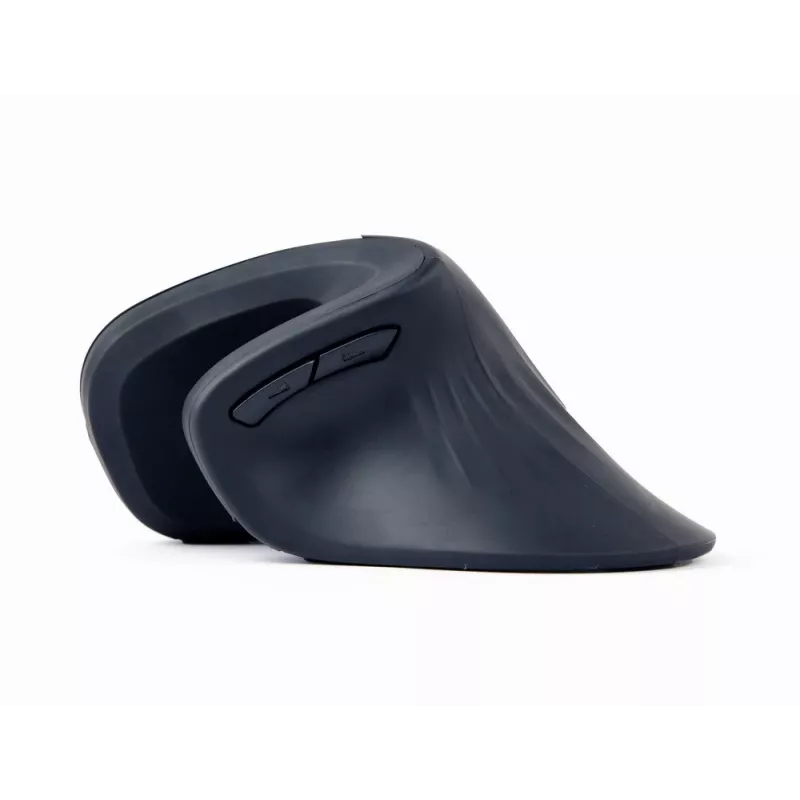 Gembird MUSW-ERGO-03 myš Home pravácka RF bezdrôtová optická 1600 DPI