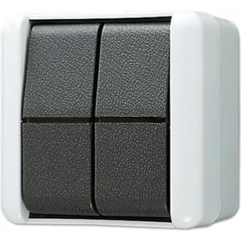 JUNG dvojitý tlačidlový spínač 10AX 250V 2 prepínače 839 W 839W