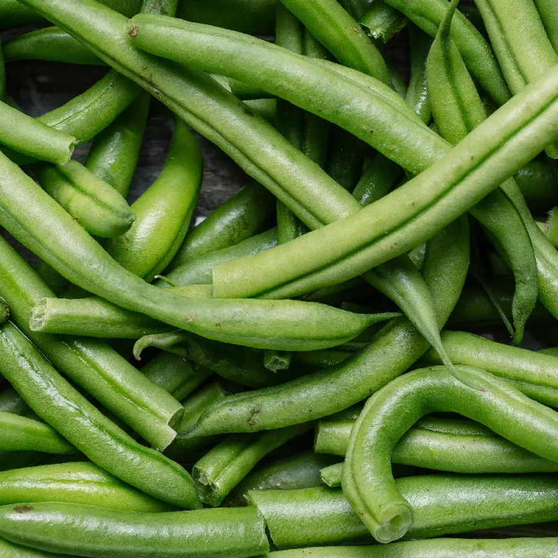 Nomad Green Dwarf fazuľové semená, 50g - zeleninové semená