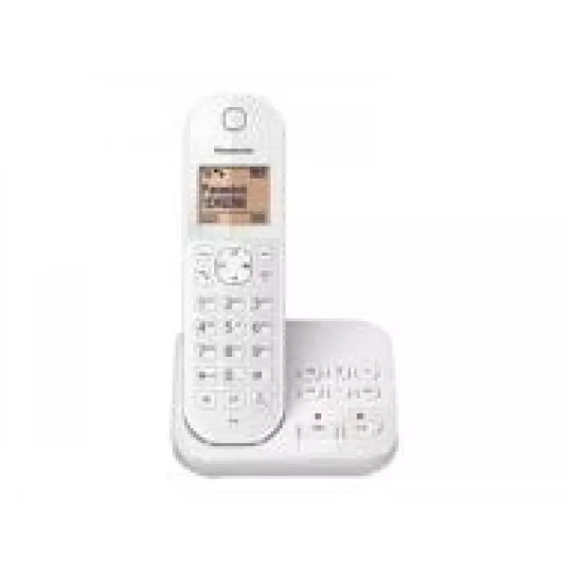 DECT telefón Panasonic KX-TGC420