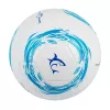 Futbalová lopta White Shark TB-001 Dribbler 32-panel veľkosť 5