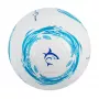 Futbalová lopta White Shark TB-001 Dribbler 32-panel veľkosť 5