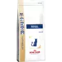 Royal Canin VHN Cat Renal granule pre mačky, 2 kg