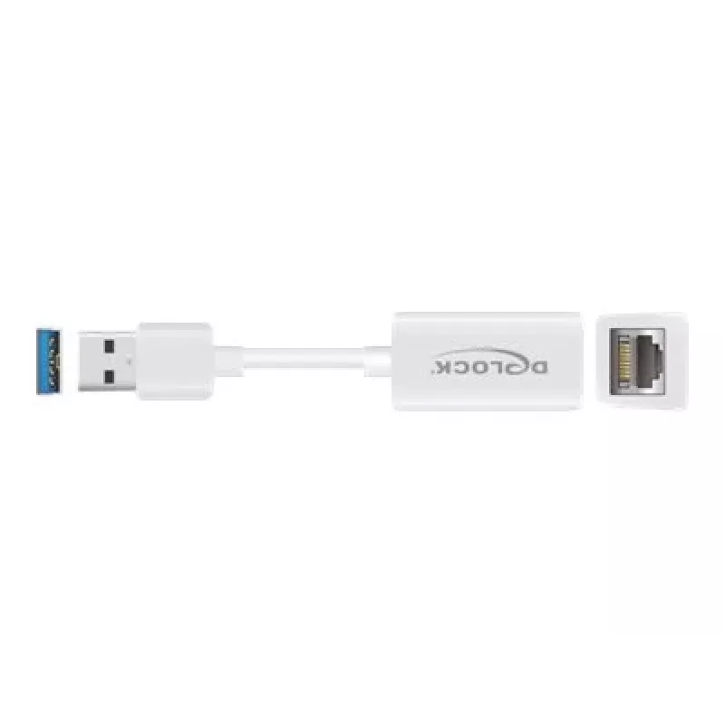 DeLOCK 65905 sieťový adaptér USB Type-A na Gigabit LAN, biely