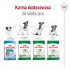ROYAL CANIN Adult Mini S - suché krmivo pre psov - 4 kg