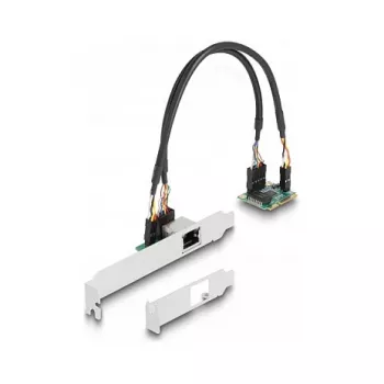 DeLOCK 95271 Interná sieťová karta 2500 Mbit/s Mini PCI Express