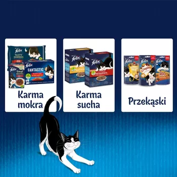 Felix Fantastic králik, jahňacie - mokré krmivo pre mačky 340 g (4x 85 g)