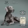 OLLO Pure Horse - mokré krmivo pre psov - 400g