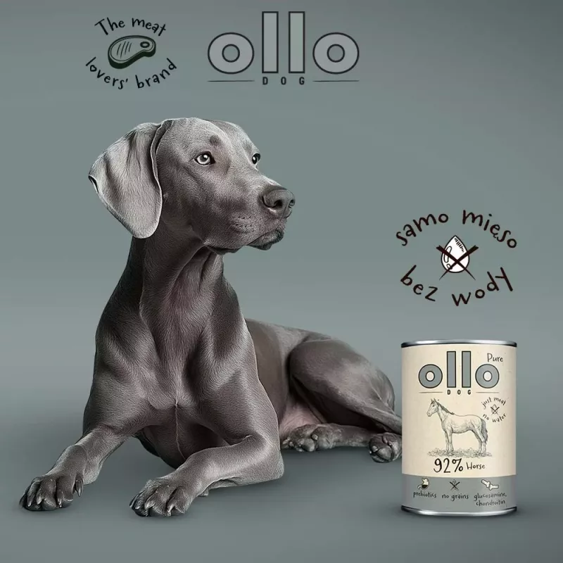 OLLO Pure Horse - mokré krmivo pre psov - 400g