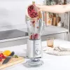 Mixér Salter EK5531MMSVDE
