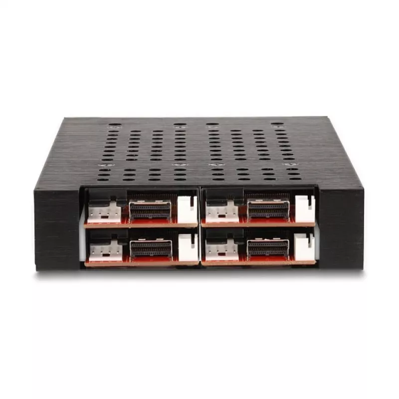 Kôš na HDD DeLOCK 47072 kompatibilný s rackom kovový šírka 100 mm