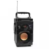 Squeak Bassblaster Bluetooth 5.1 reproduktor, FM rádio, MP3 prehrávač SQ1001