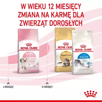 Suché krmivo pre mačky Royal Canin Kitten 4 kg hydina — suché krmivo pre mláďatá, 36 % proteínu, 18 % tuku