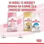 Royal Canin FHN Kitten suché krmivo pre mačiatka, 4 kg