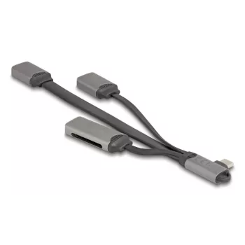 DeLOCK 64303 USB 3.2 Gen 1 Type-C hub 5000 Mbit/s sivý