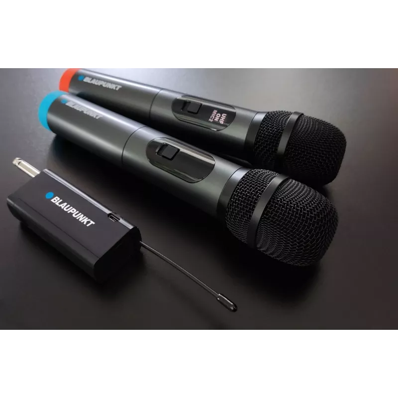 Mikrofón Blaupunkt WM60UDB