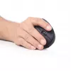 Gembird MUSW-ERGO-01 myš pre pravákov RF bezdrôtová optická 1600 DPI