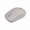 Canyon myš MW-12 dualband bezdrôtová béžová - myš - 2 400 dpi (CNS-CMSW12BG)