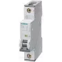 Siemens istič 2 A 1-pólový C (5SY4102-7)