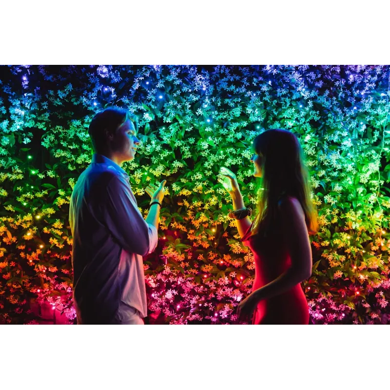 TWINKLY Strings 600 (TWS600STP-BEU) inteligentné vianočné osvetlenie na stromček 600 LED RGB 48 m