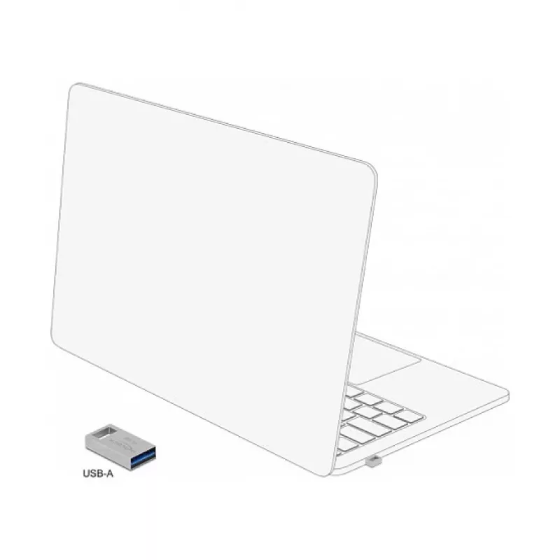 USB flash disk DeLOCK 16 GB USB Type-A 3.2 Gen 1 54069