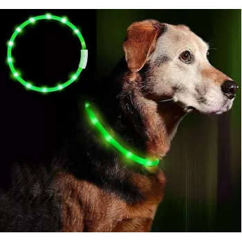 LED obojok Anicoll zelený pre psy a mačky model nabíjateľné osvetlenie
