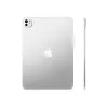 Apple iPad 11