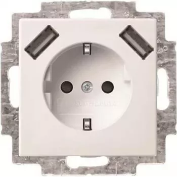 Busch-Jaeger SCHUKO 2-násobná USB zásuvka 20 EUCB2USB-914 (2CKA002011A6266)