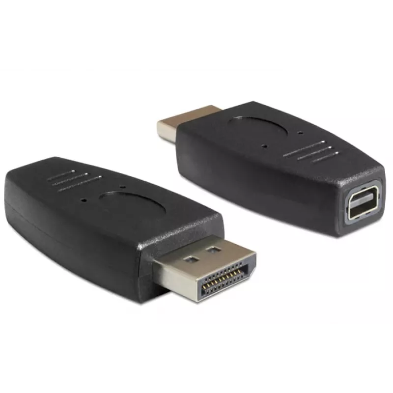 DeLOCK - DisplayPort adaptér - DisplayPort (M) na Mini DisplayPort (W) - čierny