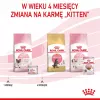 Royal Canin BABYCAT INSTINCTIVE - mokré krmivo pre mačky - 195 g