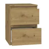Nočný stolík Top e shop M2 ARTISAN, 2 zásuvky, dubové drevo, 300×300×400 mm