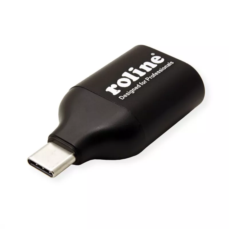 ROLINE 12.03.3228 USB grafický adaptér 1920 x 1080 pixelov čierny (12.03.3228)