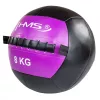 Cvičná medicinbal 8 kg HMS WLB8