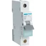 Hager MBN106. Vstupná frekvencia AC: 50/60 Hz, menovitý výstupný prúd: 6 A (MBN106)