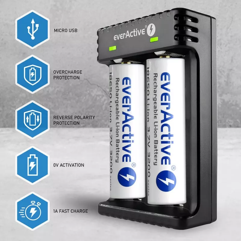 Nabíjačka batérií everActive LC200 domáca USB, 2-slotová, Li-Ion, podporuje A/AA/AAA/AAAA/C/D, 5 V vstup, 4,2 V výstup, čierna