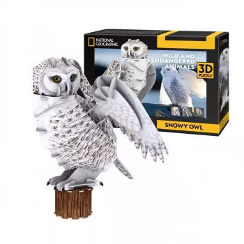 CubicFun 3D puzzle NG sova snežná 32 dielov zvieratá od 8 rokov