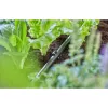Držiak hadice Gardena 13208-20 čierny umiestnenie na zem