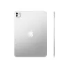 Apple 11