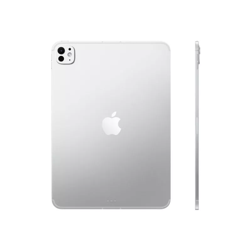 Apple 11