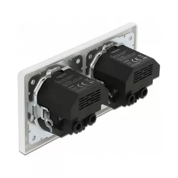 Nástenná zásuvka DeLOCK 2-násobná so 4 USB portmi 2 x 2,8 A