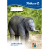 Blok umeleckého papiera Pelikan 224840